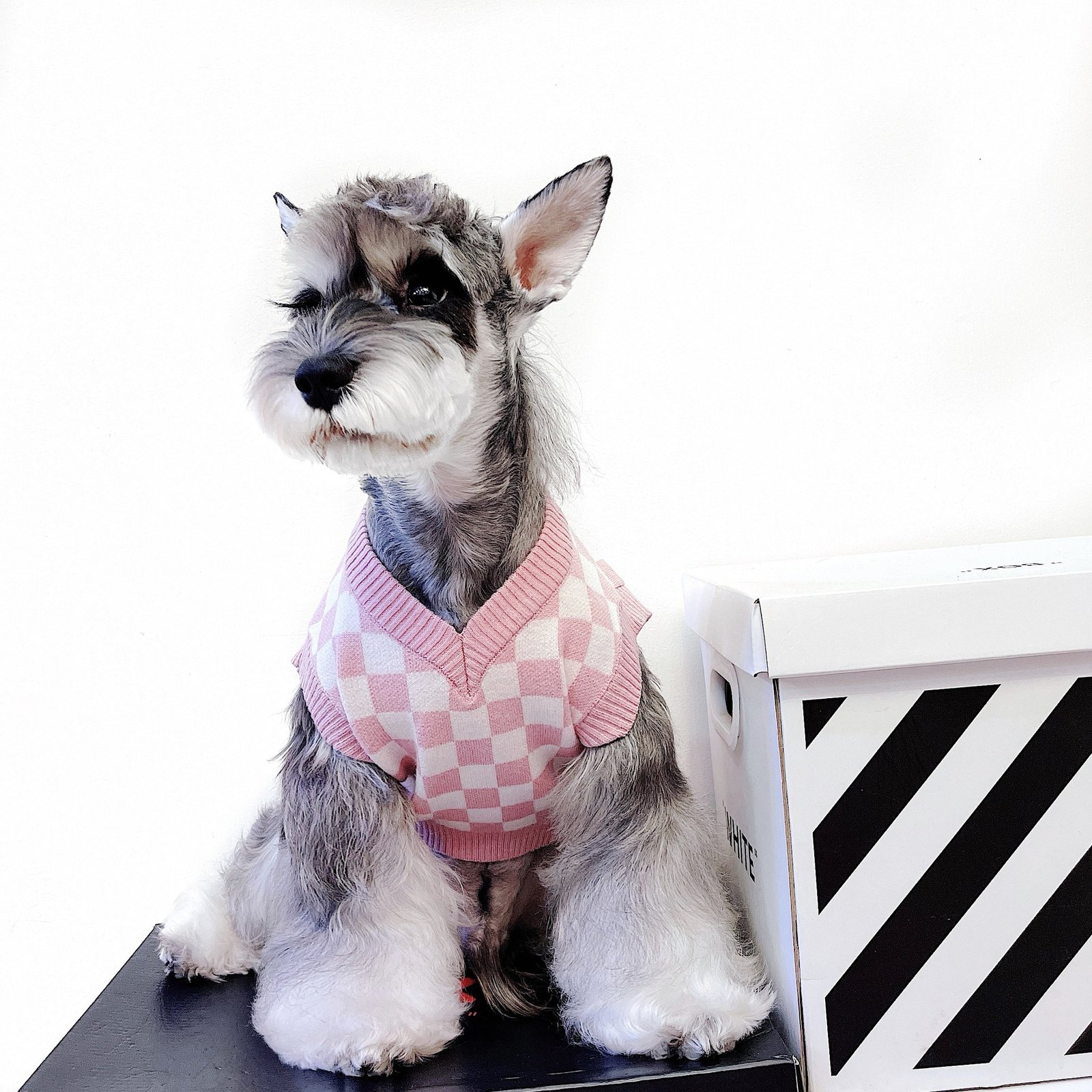 Pet Girly Cute Checkerboard Vest Sweater – Image 5