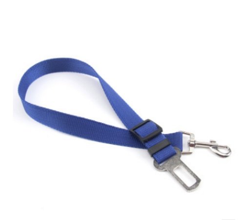 Fixed Strap Polyester Dog Strap Dog Leash Dog Leash – Image 8