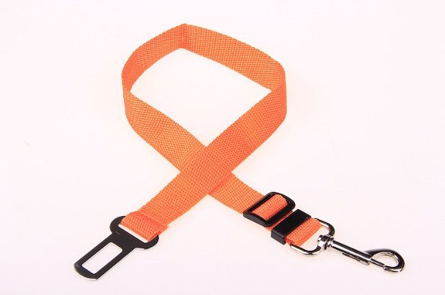 Fixed Strap Polyester Dog Strap Dog Leash Dog Leash – Image 7