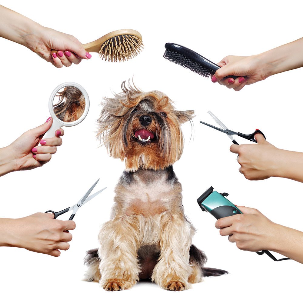 Grooming
