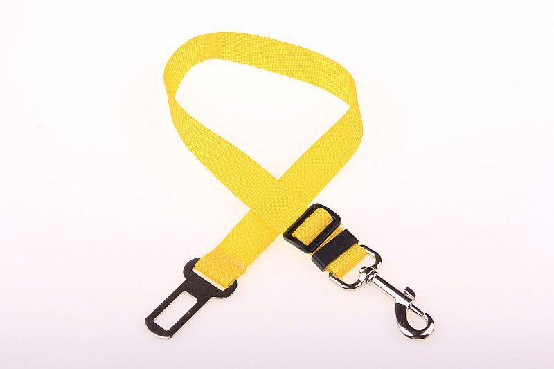 Fixed Strap Polyester Dog Strap Dog Leash Dog Leash – Image 9
